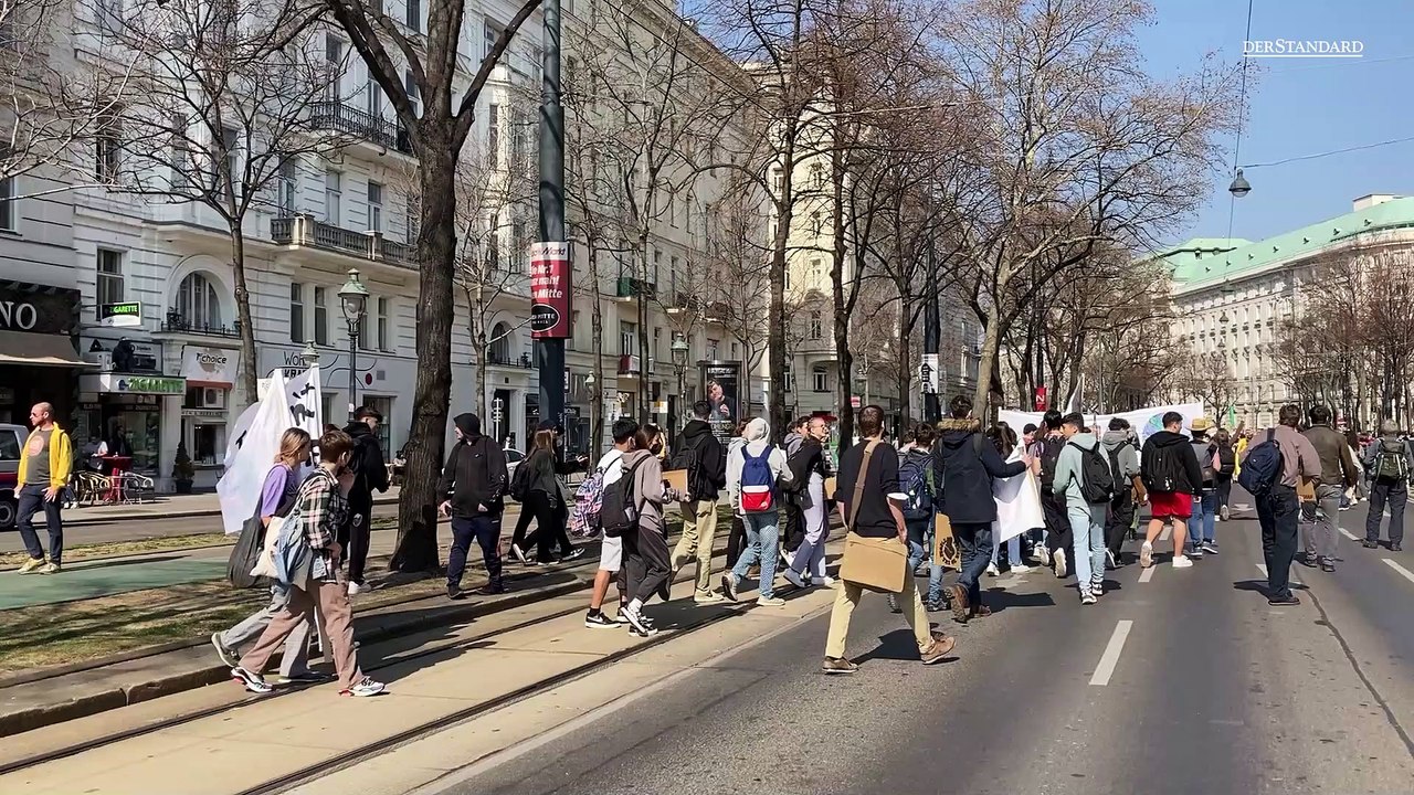 Weltklimastreik: Fridays for Future demonstrieren in Wien