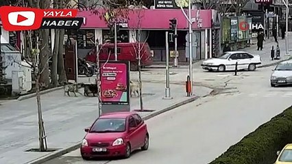 Başkan yardımcısı saldırıya uğrayan köpeği böyle kurtardı