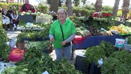 ALAÇATI OT FESTİVALİ ŞENLİK TADINDA BAŞLADI