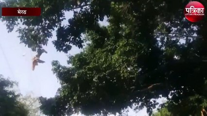 तापमान अभी और करेंगा परेशान, दिन में ऐसा है आज गर्मी का हाल