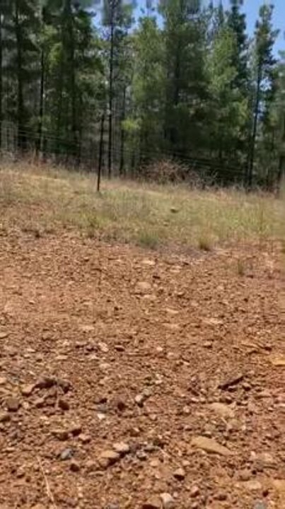 Dancing Rock