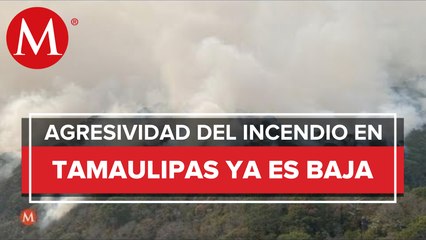 Incendio en 'El Cielo' está controlado al 55 por ciento: gobierno de Tamaulipas