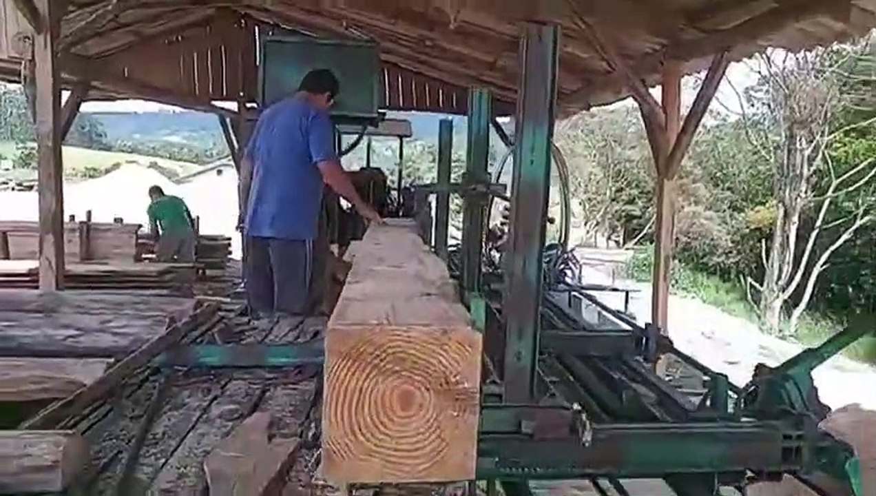 Árvores cortadas às margens da BR-470 vão virar moradia popular em SC