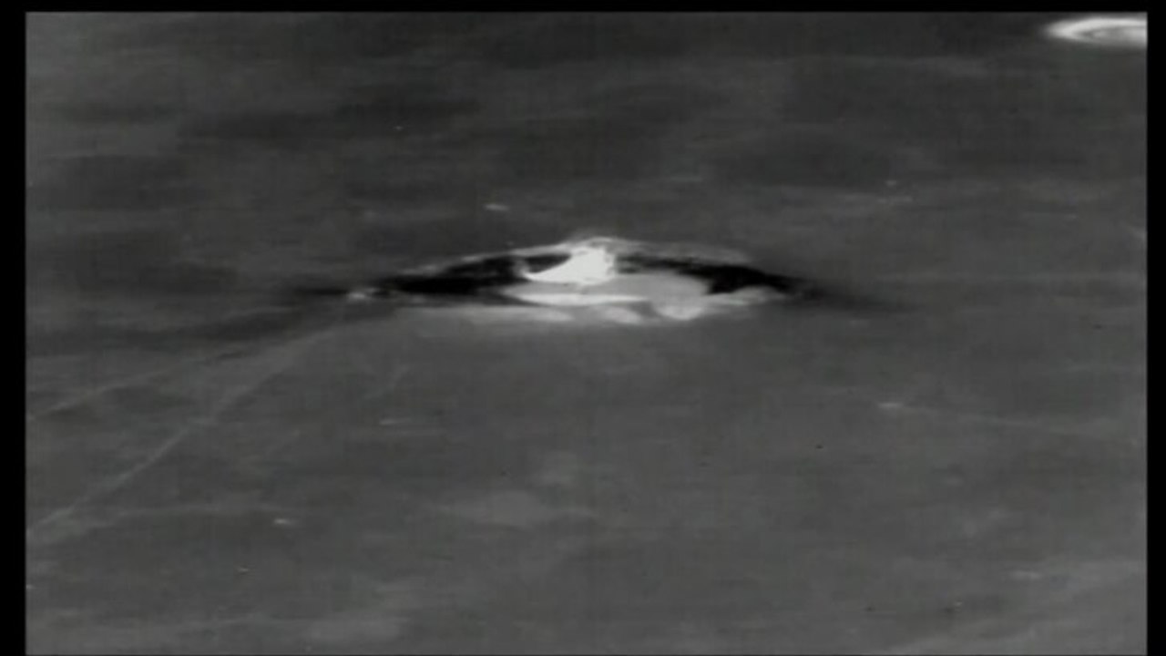 Rosedale Fire Clip02