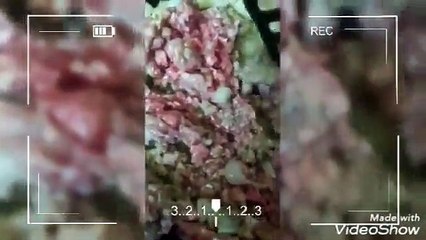 طريقه سهله وبسيطة المكرونه بالبشاميل والسر في التوابل