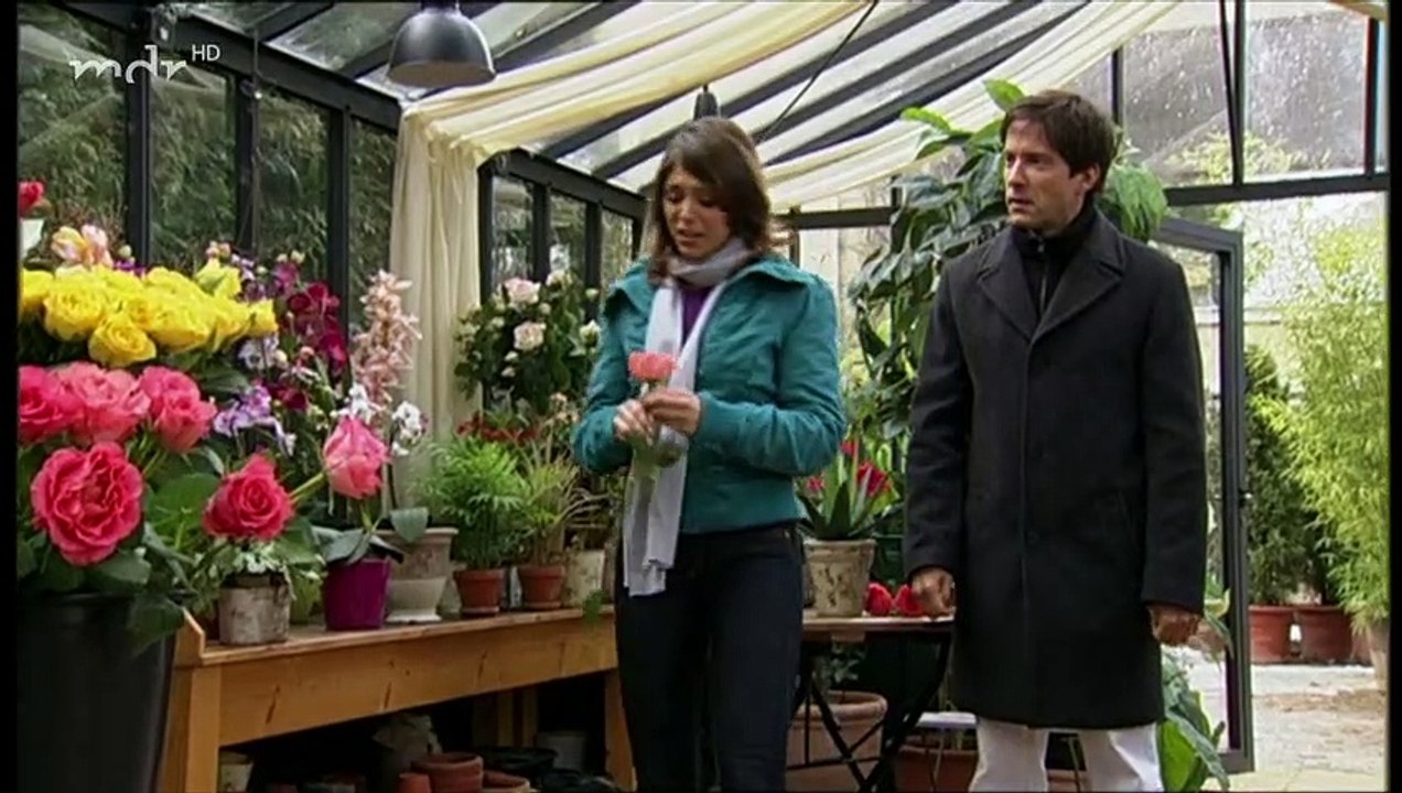 Sturm der Liebe Folge 537