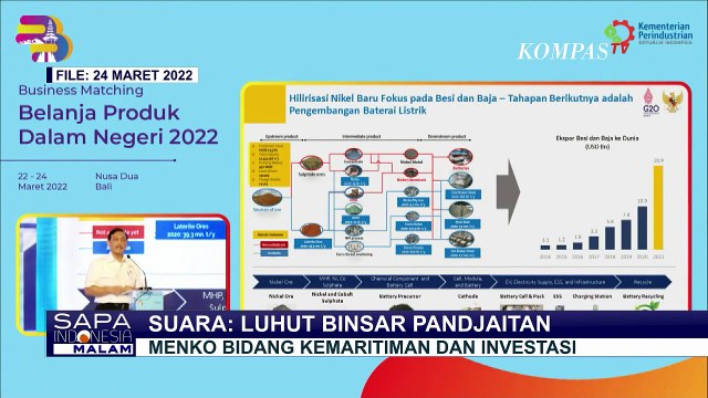 Menko Marves Luhut Sebut Tesla Kembali Berencana Investasi di Indonesia