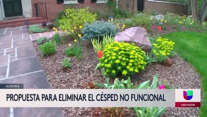 Propuesta para eliminar el césped no funcional