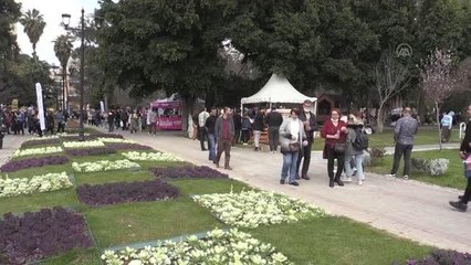 Portakal Çiçeği Karnavalı etkinliklerle kutlanıyor