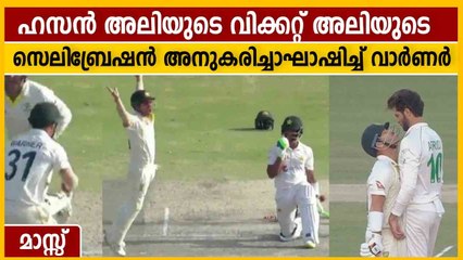 ഹസന്‍ അലിയുടെ വിക്കറ്റില്‍ ഹസന്‍ അലിയെ അനുകരിച്ച് ഡേവിഡ് വാര്‍ണര്‍