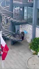 Toujours se méfier des singes