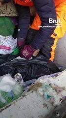 Estos basureros se vuelven virales por salvar a estos gatitos