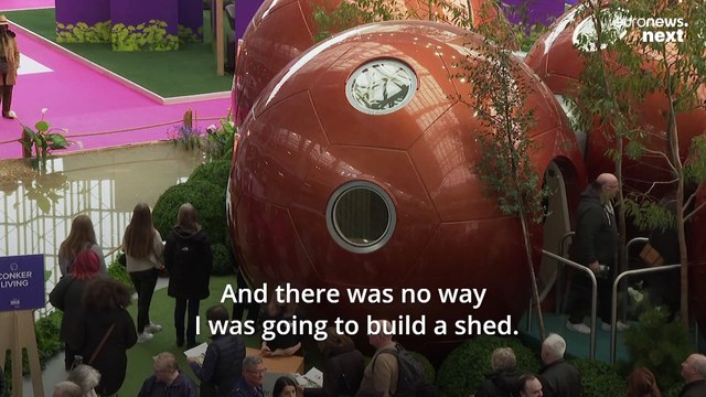 Tiny homes: Are these eco-friendly conker pods the future of affordable housing?