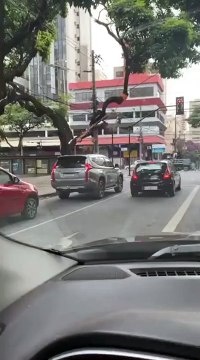 Ce mendiant a augmenté le niveau pour récolter de l'argent au feu rouge (Brésil)