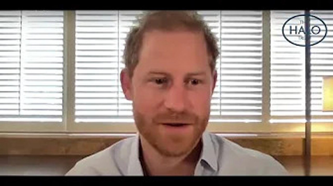 Prince Harry Thanks Halo Trust Workers in Ukraine in Special Video Call: 'Keep Saving Lives'