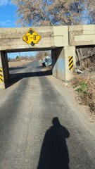 Truck Demolished After Passing Under Train Bridge