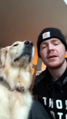 Learning to Speak My Dog's Language