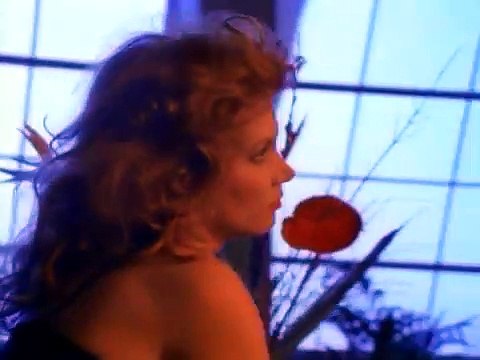 Rod Stewart - My Heart Can't Tell Me No (Official Video)