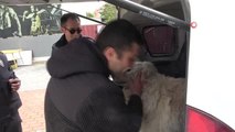 Çalınan köpeğine 2 hafta sonra kavuştu... Polis aracında köpeğini gören vatandaş böyle sevindi