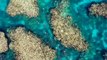 Ningaloo Reef on high alert as it faces coral bleaching threat