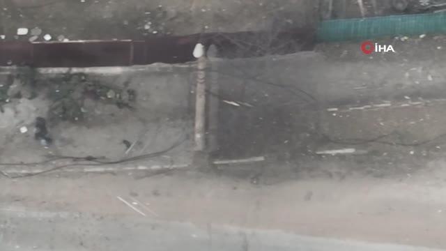 Son dakika haberi | Azov taburu, Ukrayna'da öldürülen Rus askerlerinin görüntülerini yayınladı