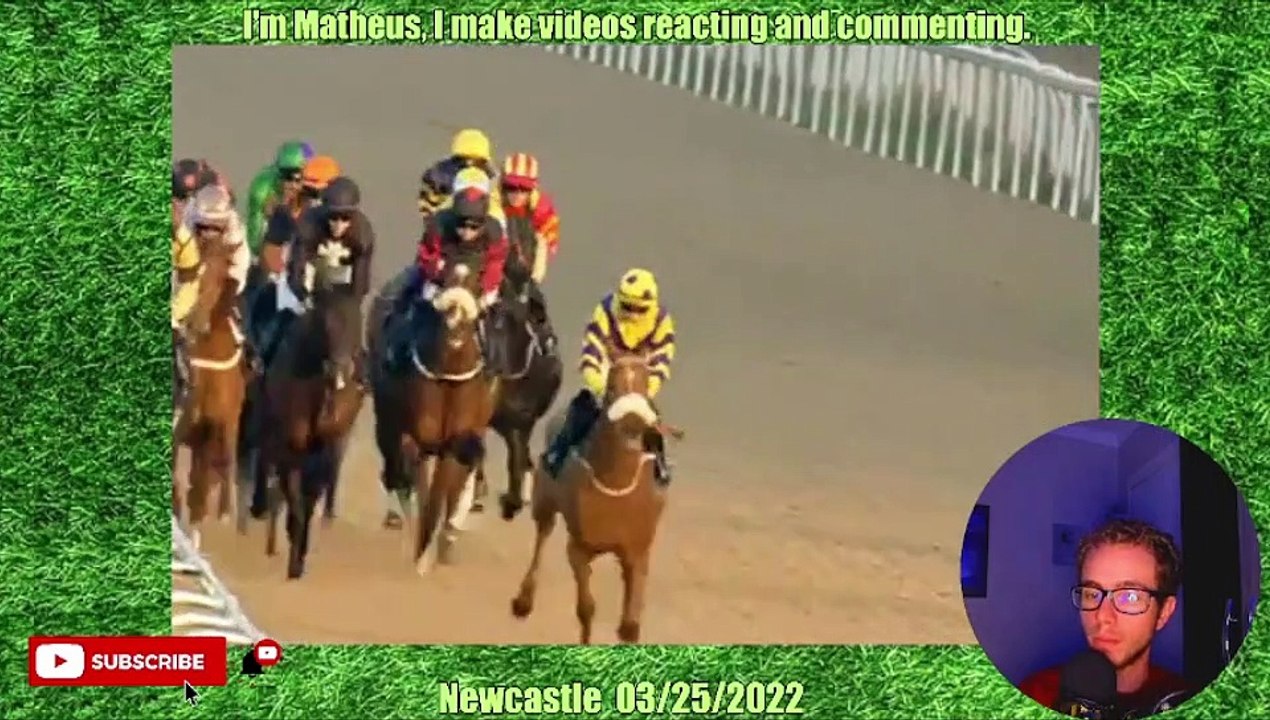 Pallas Lord WINS at Newcastle 03/24/2022 - Horse bet €6,100