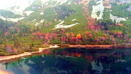 Sembrando Esperanza - Ucrania - Gerardo Arias - 26.03.2022