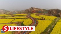 Ragged mining mountain turned into picturesque park in central China