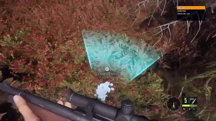 theHunter_ Call of the Wild Chapter 74 Blackbear and Blacktail Deer!