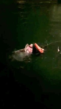 Denize atlayan genci bekçi kurtardı