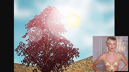 How to Plant Redbud Trees