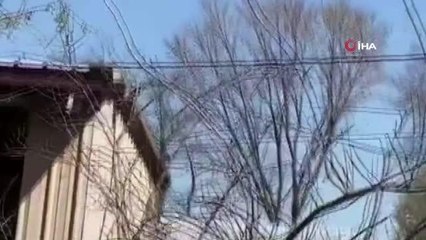 Son dakika haber | Texas'ta helikopter düştü: 1 ölü