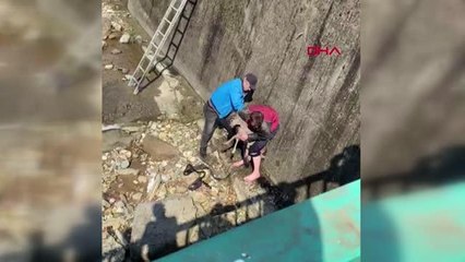 DEREDE MAHSUR KALAN YAVRU KARACA İÇİN SEFERBER OLDULAR