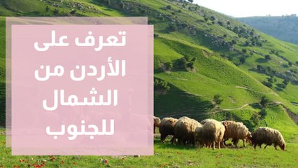 مبادرة شبابية للتعرف على الأردن من الشمال للجنوب