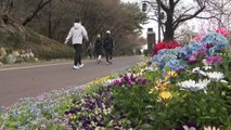 봄비 머금은 꽃처럼...확진자 감소에 나들이객 기지개 / YTN