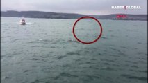 Son dakika! İstanbul Boğazı girişinde yabancı cisim hareketliliği: Gemiler uzaklaştırıldı, alarma geçildi