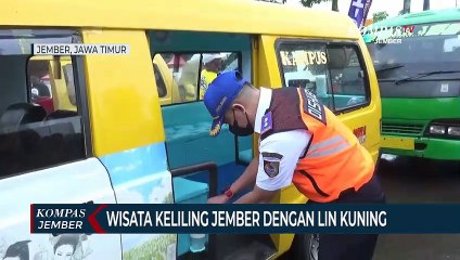 Lin Kuning Jadi Angkutan Wisata, Berwisata di Jember Jadi Lebih Asyik