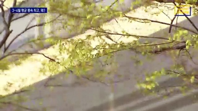 봄바람 ‘살랑’?…연중 바람이 가장 센 계절은 봄