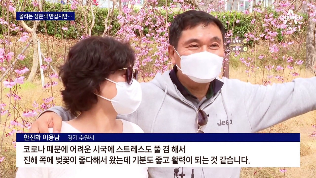 남녘은 벚꽃 세상…“3년 만의 손님 반갑지만 걱정도”