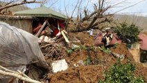 Ordu'da heyelan evleri böyle yuttu! 3 ev ve bir ahır yıkıldı, inekler telef oldu