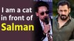 I am a cat in front of Salman Khan: Tiger Shroff