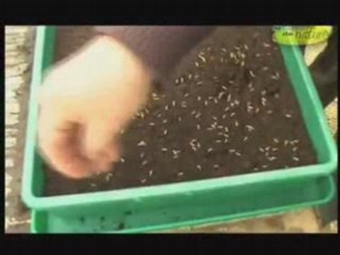 Arlette et hubert le jardinier - semis