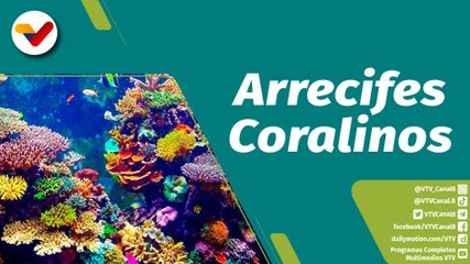 Punto Verde | ¿Cómo se forman los arrecifes coralinos?