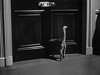 One Step Beyond S2E19: Call From Tomorrow (1960) - (Drama, Fantasy, Mystery, TV Series)