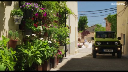 Oscars 2022: "The Power of the Dog" gilt als Favorit - "Flee" will in 3 Sparten gewinnen