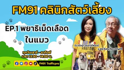 พยาธิเม็ดเลือดในแมว EP.1 : FM91 คลินิกสัตว์เลี้ยง : 26 มีนาคม 2565