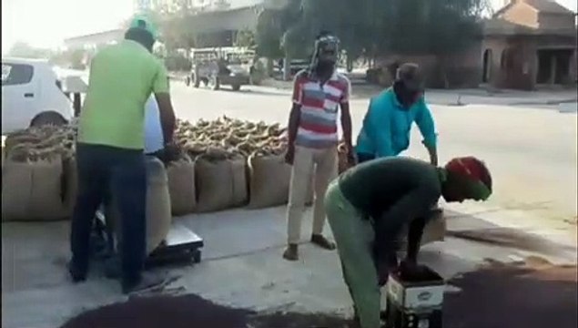 farmersयुद्ध से यूक्रेन-रूस को नुकसान, भारत के किसानों को फायदा