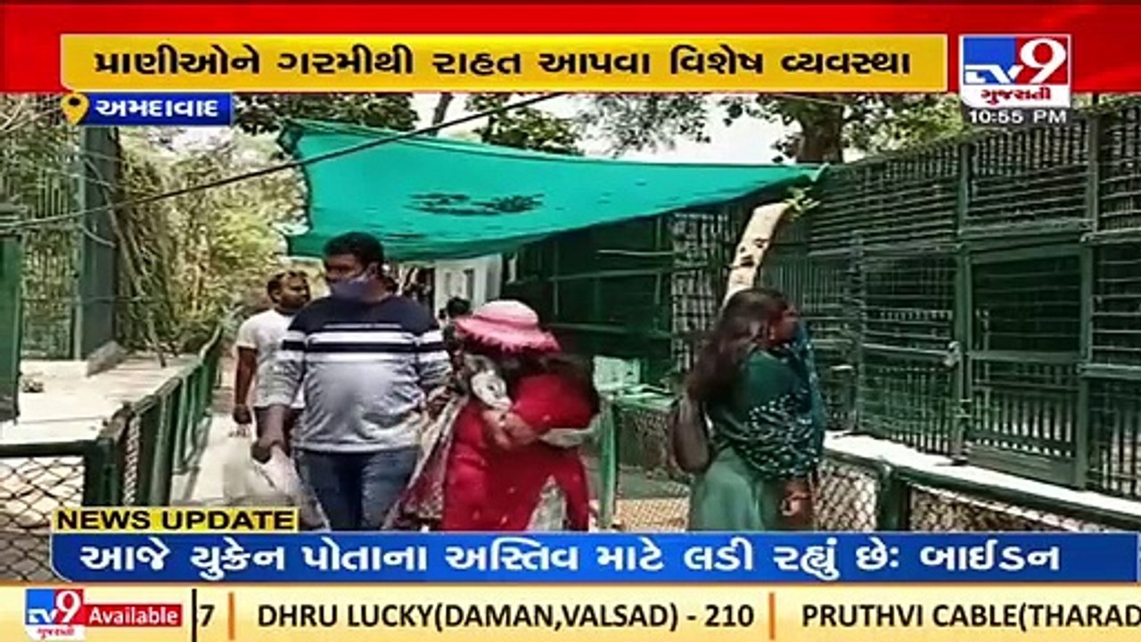 Air coolers installed at Kankariya zoo as temperature rises in Ahmedabad_ TV9News