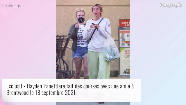 Hayden Panettiere se prend un coup de pied à la tête : violente bagarre impliquant son chéri Brian Hickerson