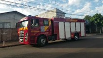 Cachorrinho cai dentro de fossa e Corpo de Bombeiros é mobilizado para resgate